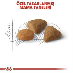 Royal Canin Exigent Savour Seçici Yetişkin Kedi Maması 10 Kg