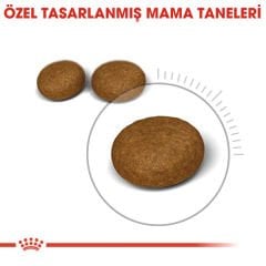 Royal Canin Hair Skin Deri ve Tüy Sağlığı için Kedi Maması 2 Kg
