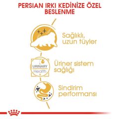Royal Canin Persian Yetişkin Kedi Konservesi 85 gr