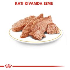 Royal Canin Persian Yetişkin Kedi Konservesi 85 gr