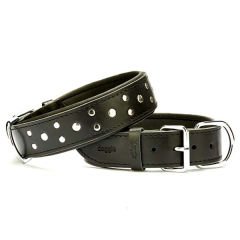 Doggie Comfort Deri Rivetli Köpek Boyun Tasması Small Siyah 4x47-55 Cm