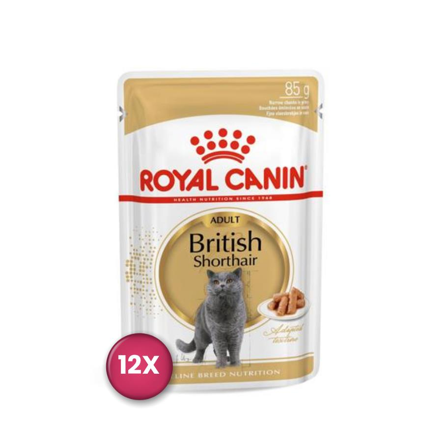 Royal Canin British Shorthair Pouch Yetişkin Kedi Konservesi 85 gr x 12 Adet