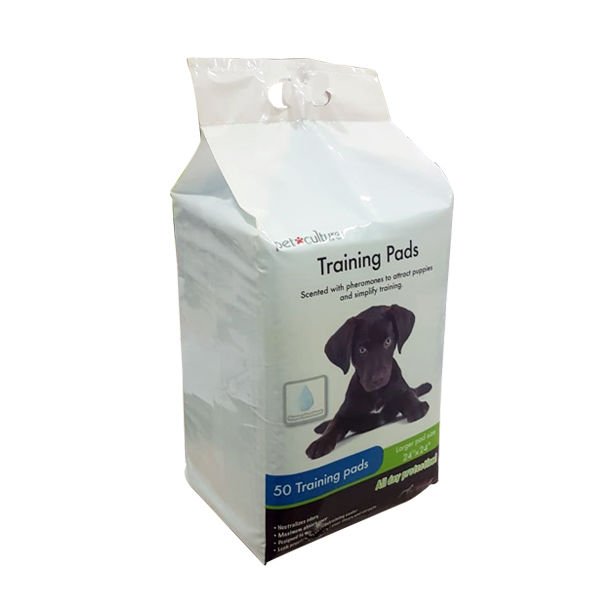 Cadet Köpek Tuvalet Alıştırma Pedi 60x60 Cm 50 Adet