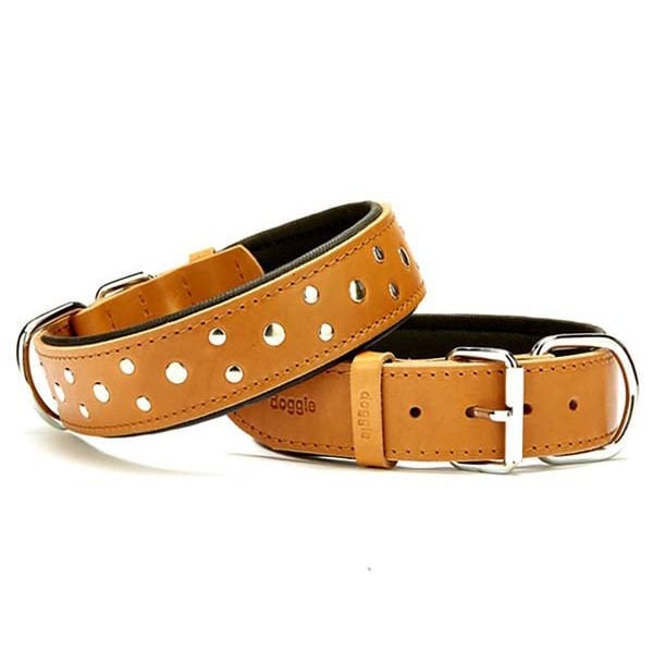 Doggie Comfort Deri Rivetli Köpek Boyun Tasması Medium Camel 4x52-60 Cm