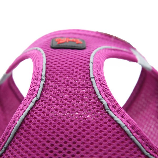 Tailpetz Air-Mesh Harness Köpek Göğüs Tasması Neo Mor XL