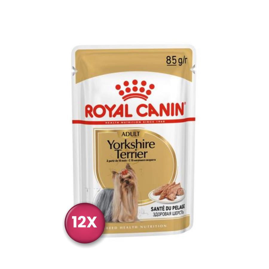 Royal Canin Yorkshire Terrier Adult Pouch Yetişkin Köpekler İçin Konserve 85 gr x 12 Adet