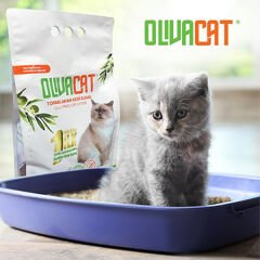 Olivacat Toz Bırakmayan Kokusuz Zeytin Çekirdeği Doğal Kedi Kumu 7 Lt