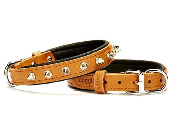 Doggie Comfort Deri Çivili Köpek Boyun Tasması Small Camel 2x30-35 Cm