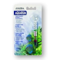 Marina Civalı Akvaryum Cam Derece