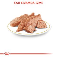 Royal Canin Chihuahua Adult Pouch Yetişkin Köpekler İçin Konserve 85 Gr