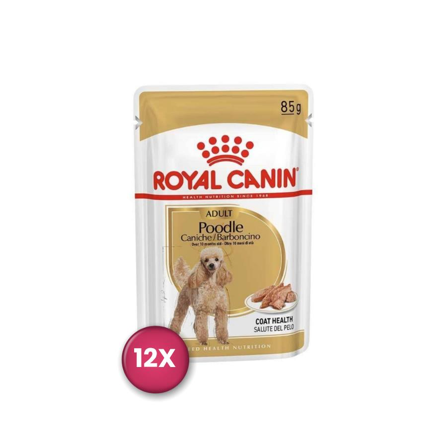 Royal Canin Poodle Yetişkin Pouch Köpek Konservesi 85 gr x 12