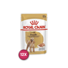 Royal Canin Poodle Yetişkin Pouch Köpek Konservesi 85 gr x 12