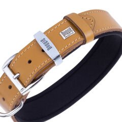 Doggie Comfort Deri Çivili Köpek Boyun Tasması Medium Camel 2x35-40 Cm