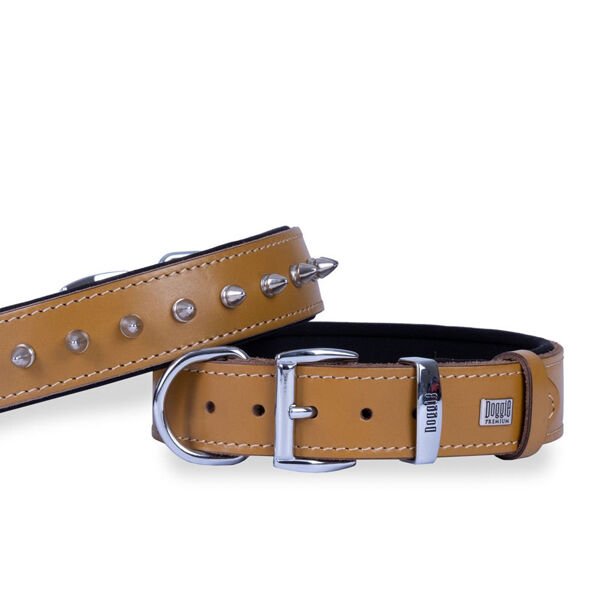 Doggie Comfort Deri Çivili Köpek Boyun Tasması Medium Camel 2x35-40 Cm