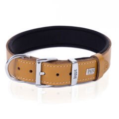 Doggie Comfort Deri Çivili Köpek Boyun Tasması Medium Camel 2x35-40 Cm