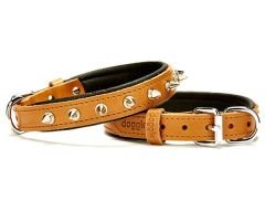 Doggie Comfort Deri Çivili Köpek Boyun Tasması Medium Camel 2x35-40 Cm