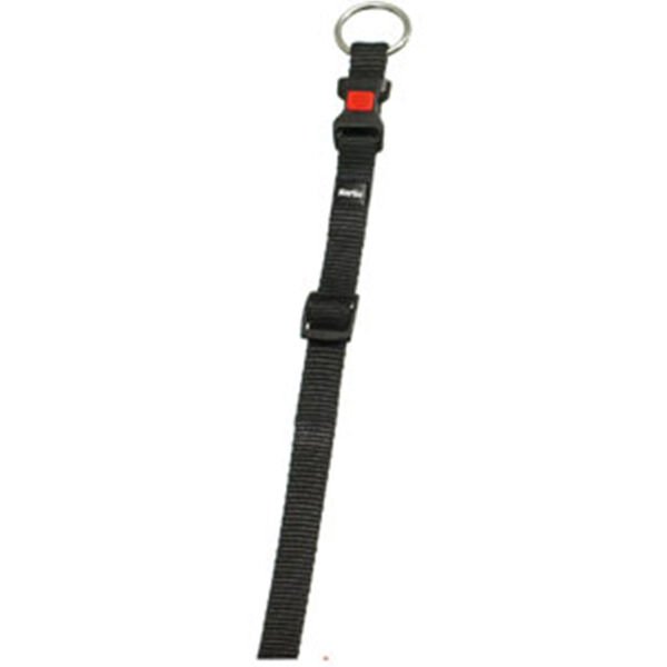Flamingo Köpek Boyun Tasması Siyah 40-55 Cm
