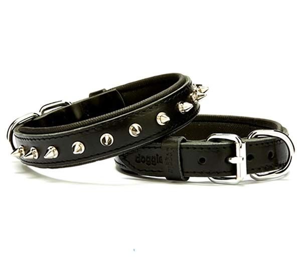 Doggie Comfort Deri Çivili Köpek Boyun Tasması Medium Siyah 2.5x37-45 Cm