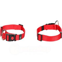 Flamingo Köpek Boyun Tasması Kırmızı 40-55 Cm