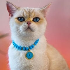 Pnx Pet Lav Doğaltaş ve Nazarlıklı Kedi ve Köpek Künyesi Mavi
