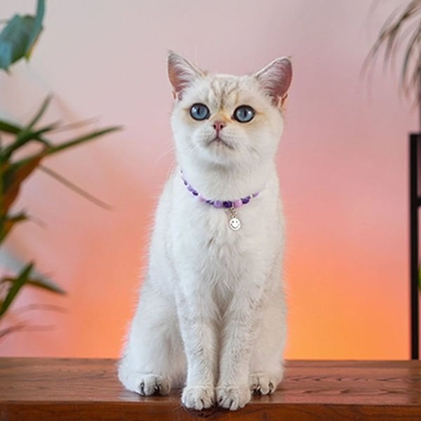 Pnx Pet Lav Doğaltaş Kedi ve Köpek Künyesi Mor