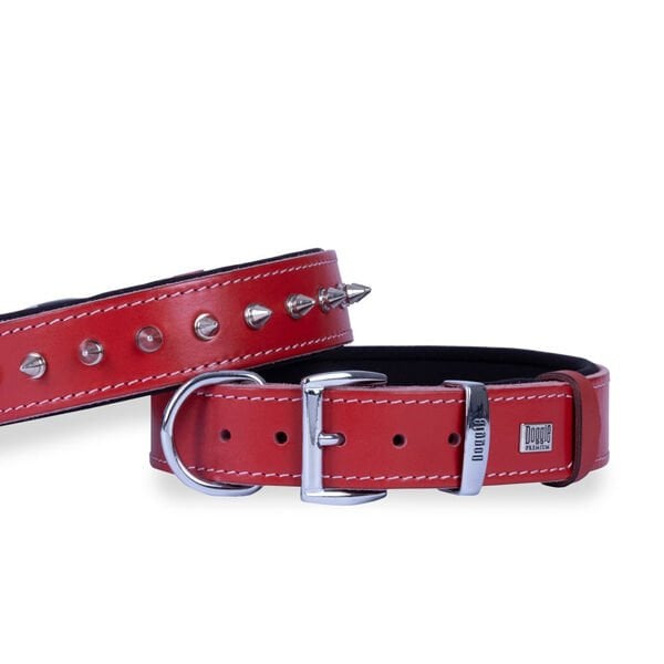 Doggie Comfort Deri Çivili Köpek Boyun Tasması Medium Kırmızı 2.5x37-45 Cm