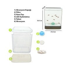 Dophin Mini Led Işıklı ve Filtreli Küçük Akvaryum 15x21.5x25.5h Cm