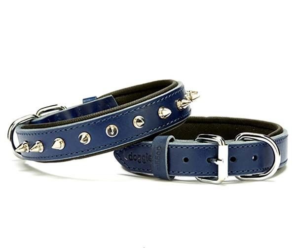 Doggie Comfort Deri Çivili Köpek Boyun Tasması Medium Mavi 2.5x37-45 Cm