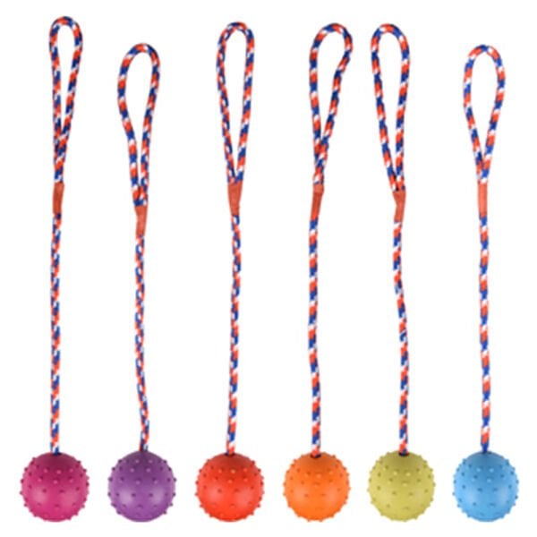 Flamingo Renkli İpli Kauçuk Top Köpek Oyuncağı 5.5 Cm