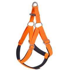Actirex Neon Köpek Göğüs Tasması Turuncu Xsmall 1.5x35-40 Cm