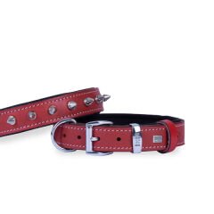 Doggie Comfort Deri Çivili Köpek Boyun Tasması Medium Kırmızı 3x42-50 Cm