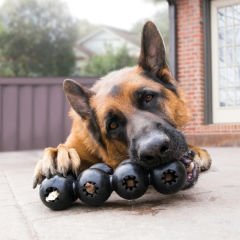 Kong Goodie Ribbon Çoklu Top Şeklinde Köpek Oyuncağı Medium Siyah