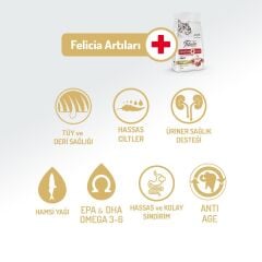 Felicia Kuzu Etli Az Tahıllı HypoAllergenic Yetişkin Kedi Maması 2 kg