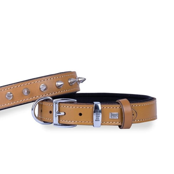 Doggie Comfort Deri Çivili Köpek Boyun Tasması Medium Camel 3x42-50 Cm