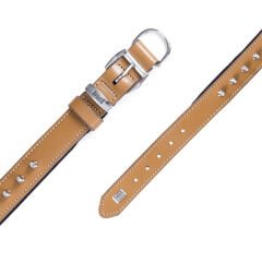 Doggie Comfort Deri Çivili Köpek Boyun Tasması Medium Camel 3x42-50 Cm