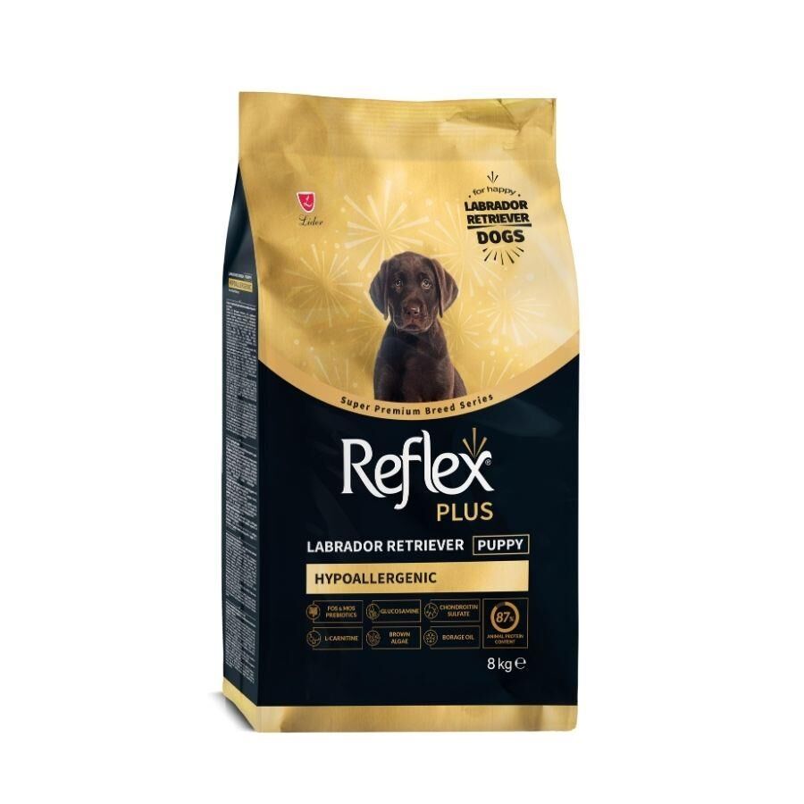 Reflex Plus Hipoalerjenik Labrador Retriever Özel Irk Yavru Köpek Maması 8 kg