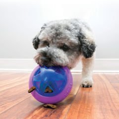 Kong Hopz Ödül Hazneli Köpek Oyuncağı 15 Cm