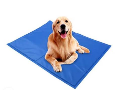 Pawise Serinletici Mat M 50 x 40 Cm