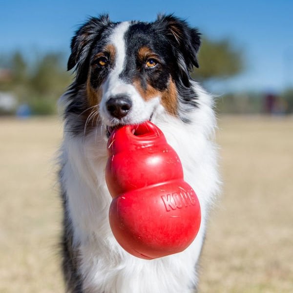 Kong Bounzer Zıplayan Yumuşak Köpek Oyuncak Large 20 Cm