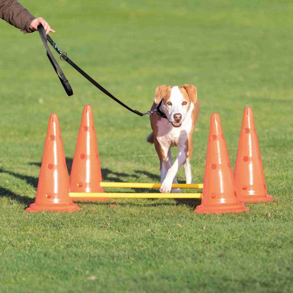 Trixie Köpek Agility Oyuncağı 2 Adet 30x50x100 Cm