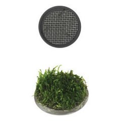 Ista Seramik Yuvarlak Akvaryum Bitki Taban 5 Cm