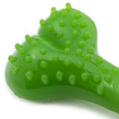 Aquael Comfy Dental Naneli Diş Kaşıyıcı Köpek Kemik Oyuncağı Yeşil 8.5 Cm