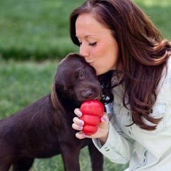 Kong Classic Ödül Hazneli Köpek Oyuncağı Xsmall 6 Cm