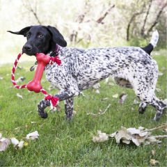 Kong Goodie Bone Kemik Şeklinde İp Sallantılı Köpek Oyuncağı Medium Kırmızı