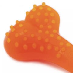 Aquael Comfy Dental Naneli Diş Kaşıyıcı Köpek Kemik Oyuncağı Turuncu 16.5 Cm