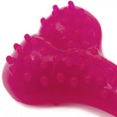 Aquael Comfy Dental Naneli Diş Kaşıyıcı Köpek Kemik Oyuncağı Pembe 16.5 Cm