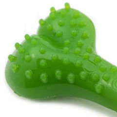Aquael Comfy Dental Naneli Diş Kaşıyıcı Köpek Kemik Oyuncağı Yeşil 12.5 Cm