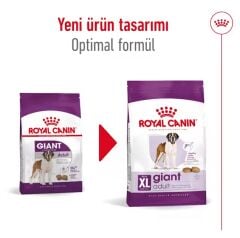 Royal Canin Giant Adult Dev Irk Yetişkin Köpek Maması 15 Kg
