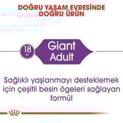 Royal Canin Giant Adult Dev Irk Yetişkin Köpek Maması 15 Kg