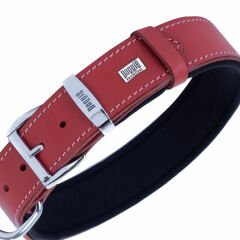 Doggie Comfort Deri Nazar Boncuklu Köpek Boyun Tasması Medium Kırmızı 3.5x47-55 Cm